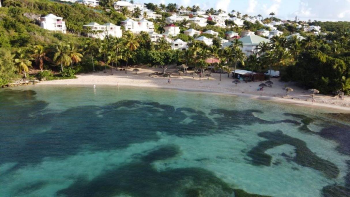 Studio Anse Des Rochers 4 Personnes Saint-Francois  Kültér fotó